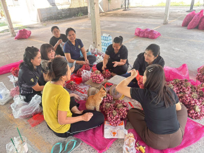 28 มค.69 ... พารามิเตอร์รูปภาพ 1